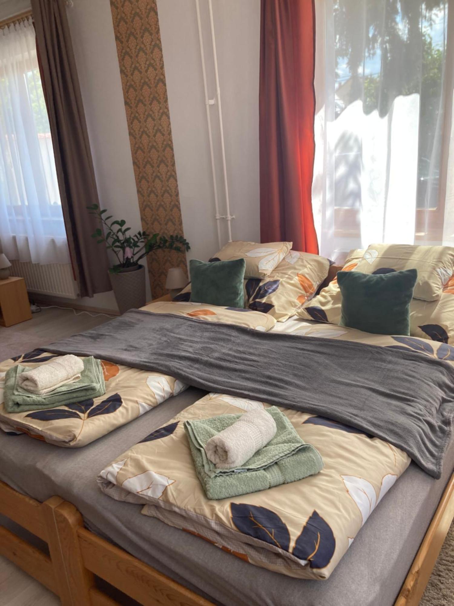 Tavaszpart Vendeghaz Apartment แซแก็ด ภายนอก รูปภาพ