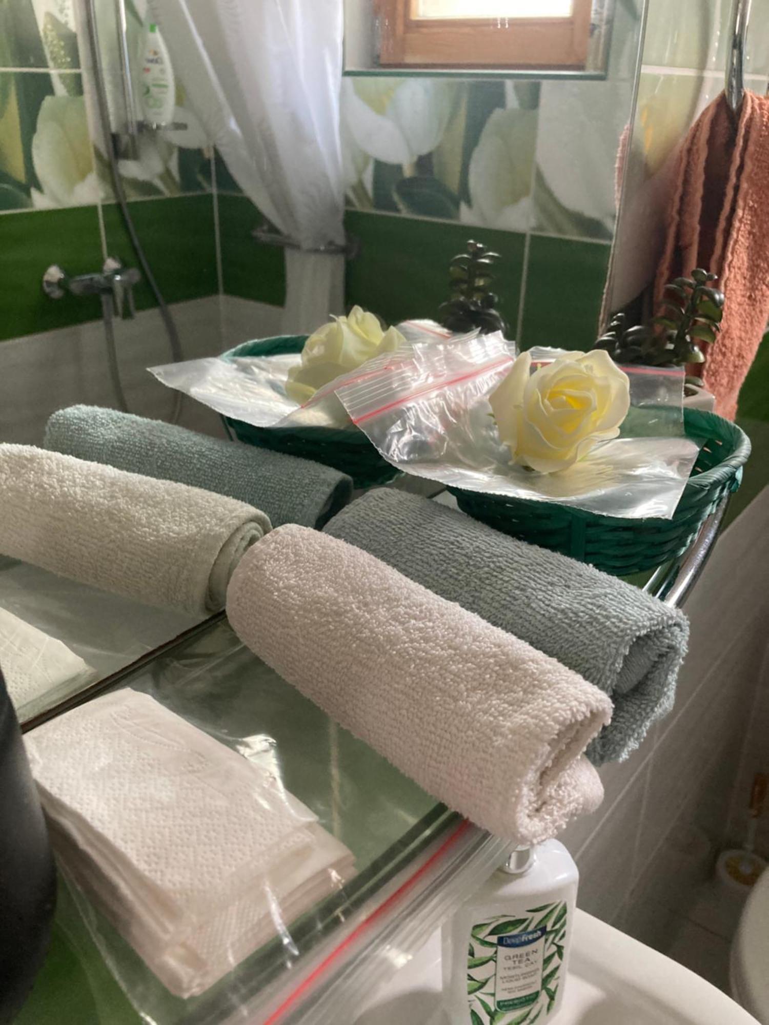 Tavaszpart Vendeghaz Apartment แซแก็ด ภายนอก รูปภาพ